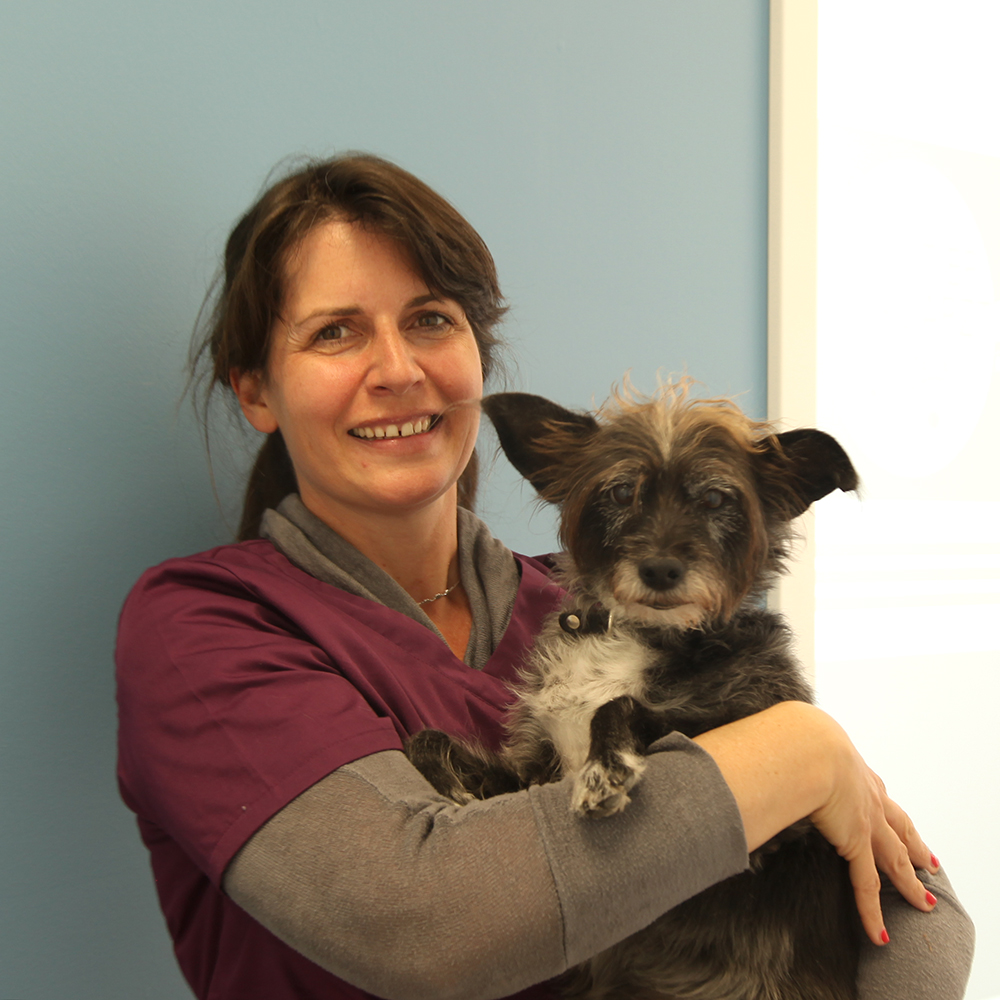 dr. kirsten penner tierärztin